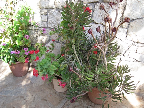 Kreta024