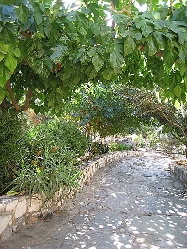 Kreta025