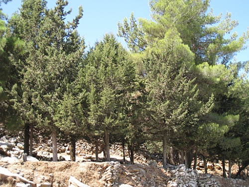 Kreta080