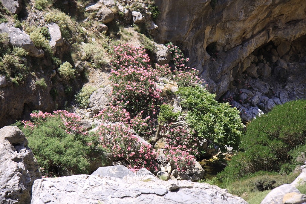 Kreta147.JPG