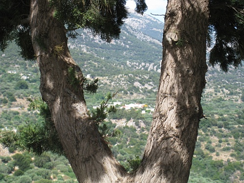 Kreta112