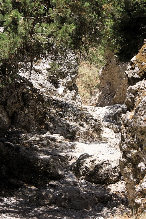 Kreta059.jpg