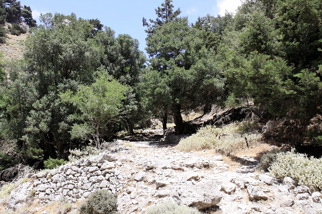 Kreta060.jpg