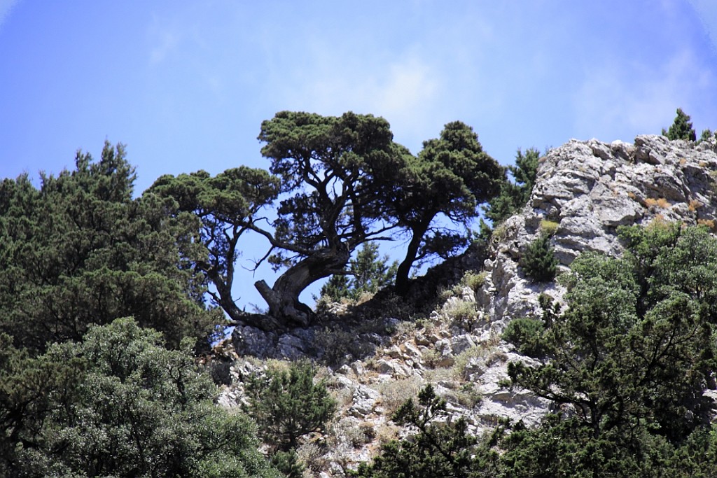 Kreta064.jpg