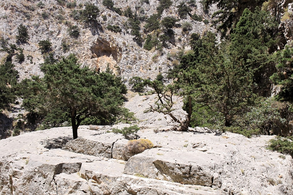 Kreta082.jpg