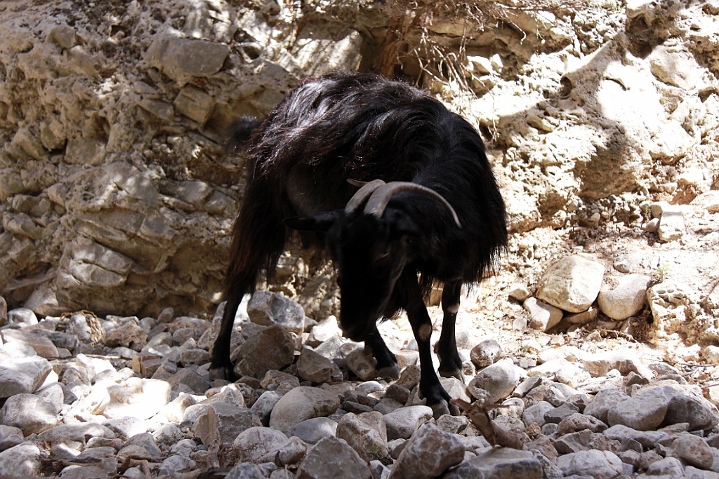 Kreta084.jpg