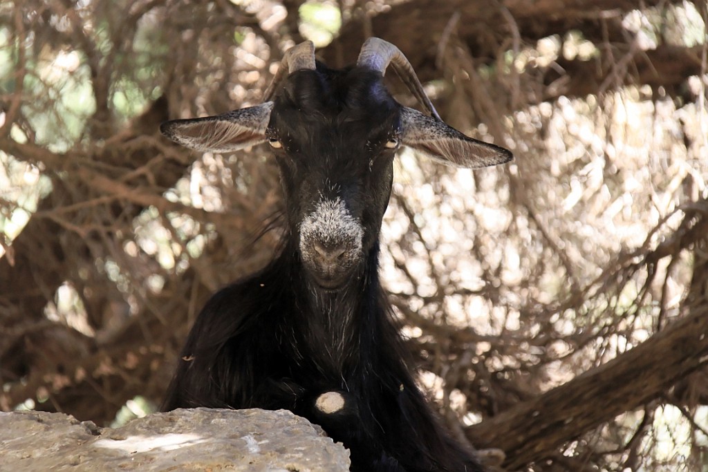 Kreta087.jpg