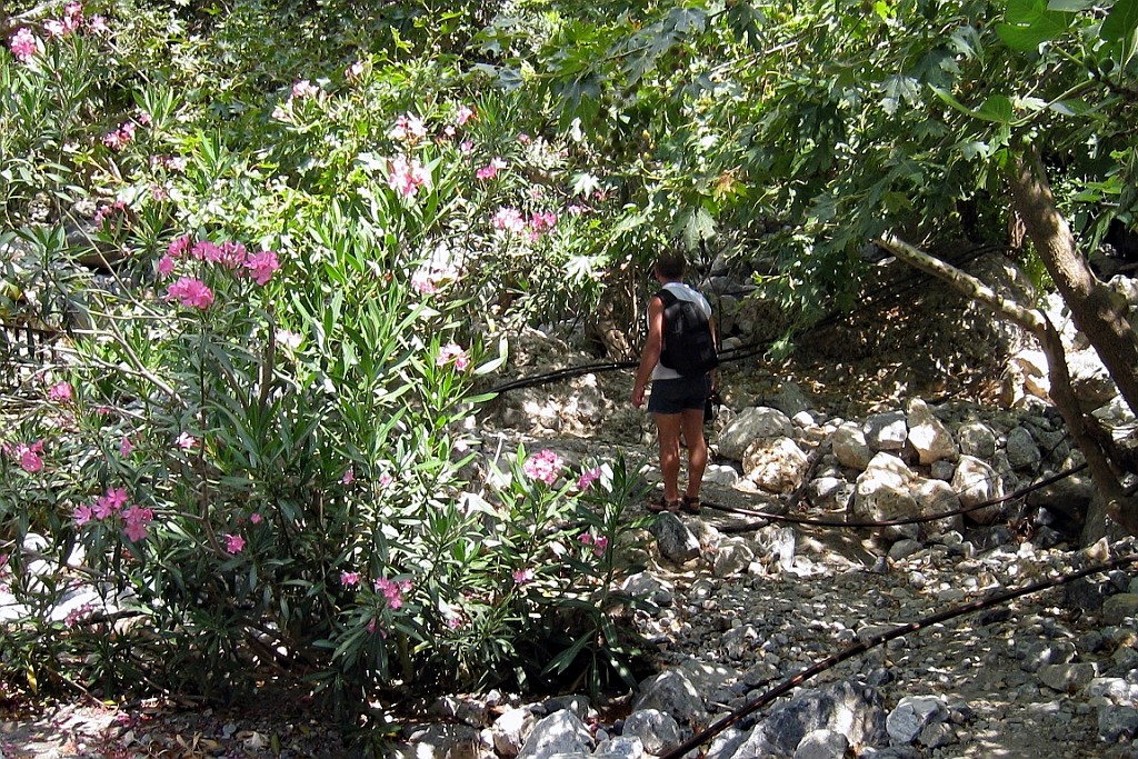 Kreta241.jpg