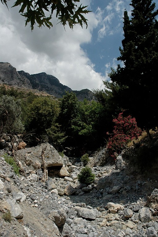 Kreta244.jpg