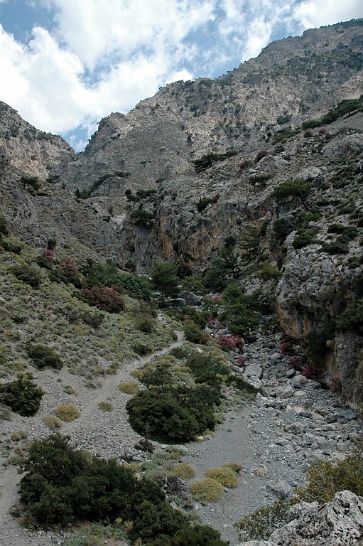 Kreta246.jpg