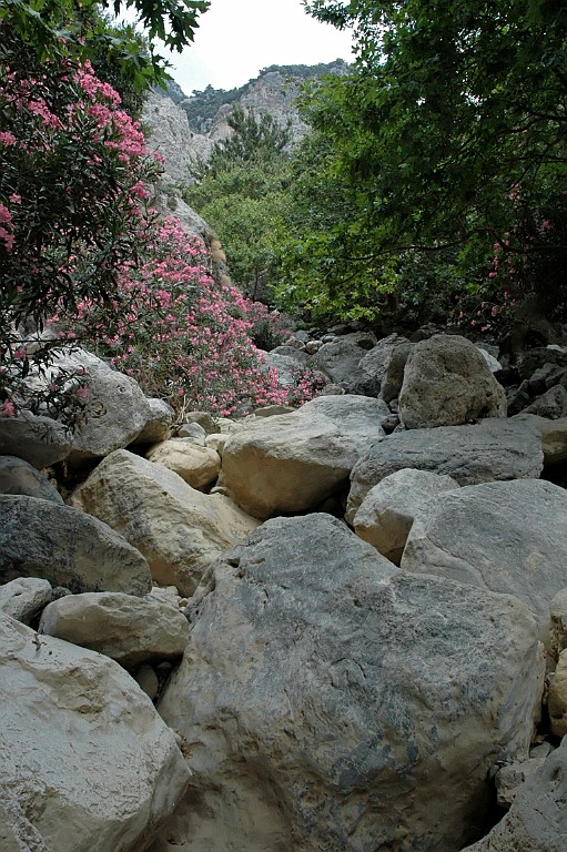 Kreta249.jpg