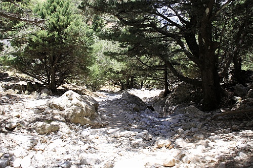 Kreta058