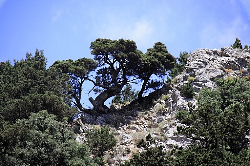 Kreta064