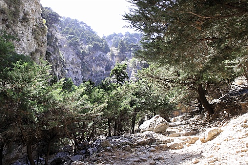Kreta078