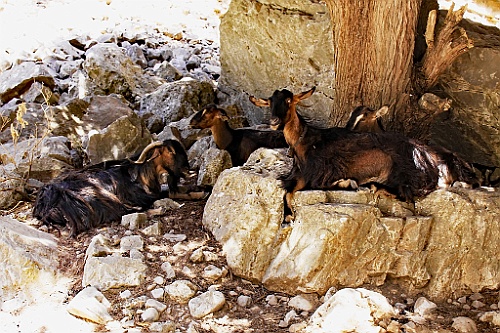 Kreta085