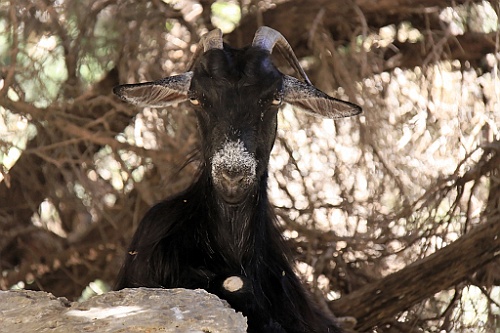 Kreta087