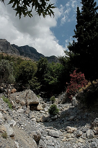 Kreta244