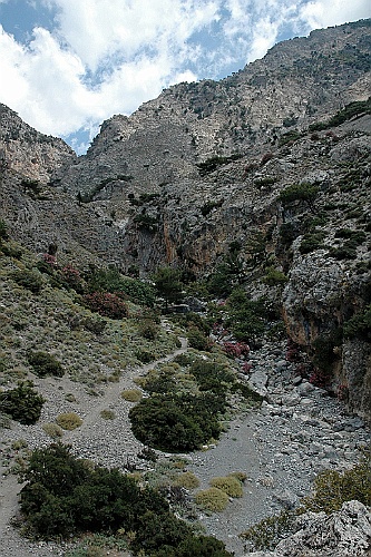 Kreta246