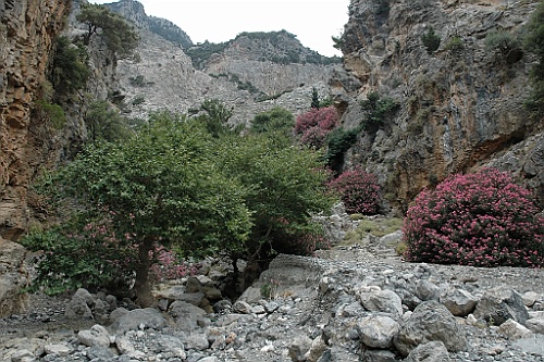 Kreta247