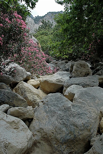 Kreta249