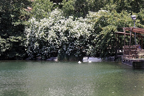 Kreta265