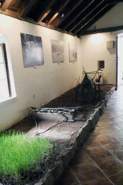 Kroa221.jpg