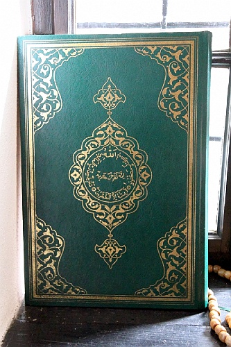 Kroa409