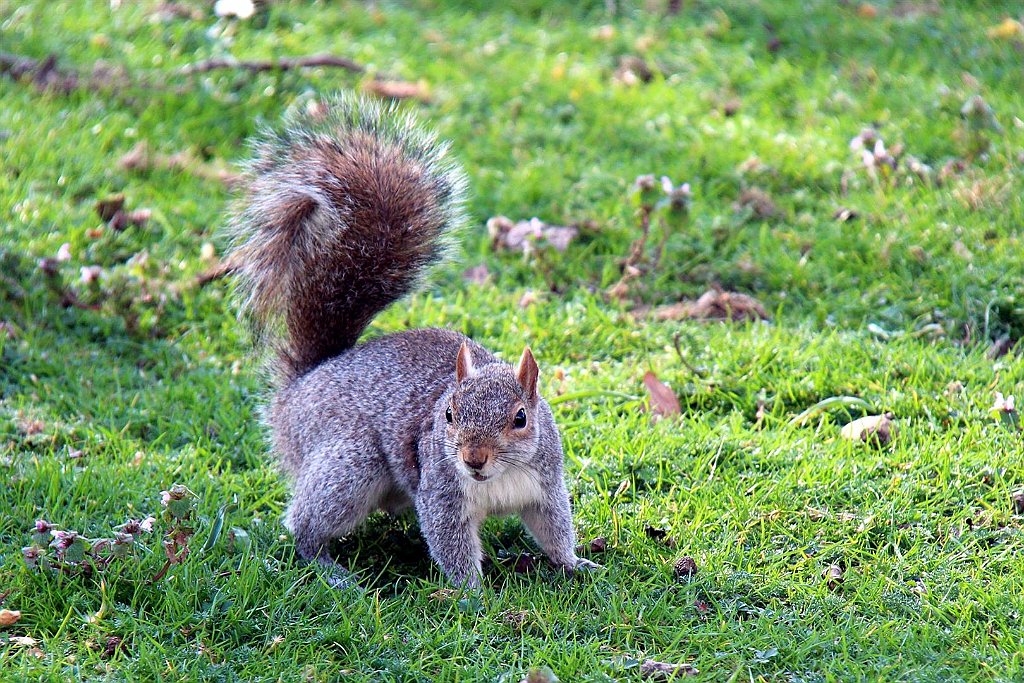 Londen (90).jpg