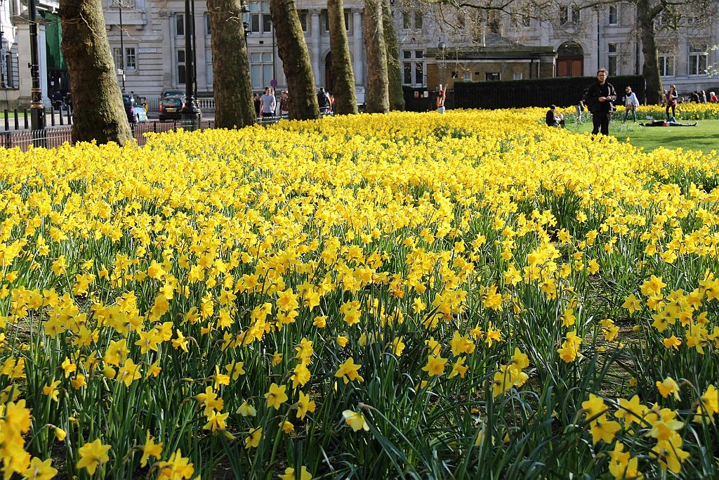 Londen (91).jpg