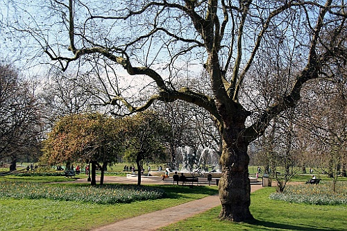Londen (59)