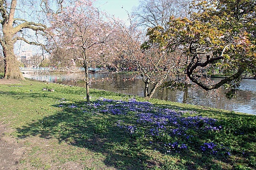 Londen (67)