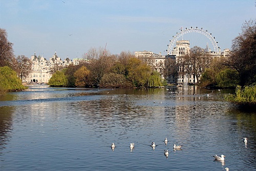 Londen (68)