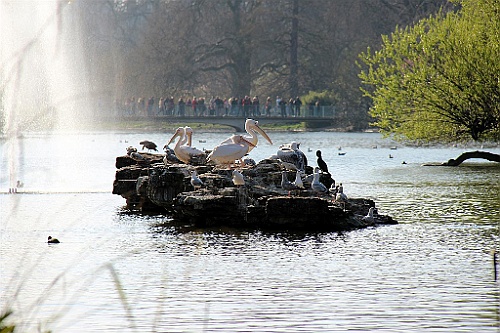 Londen (89)