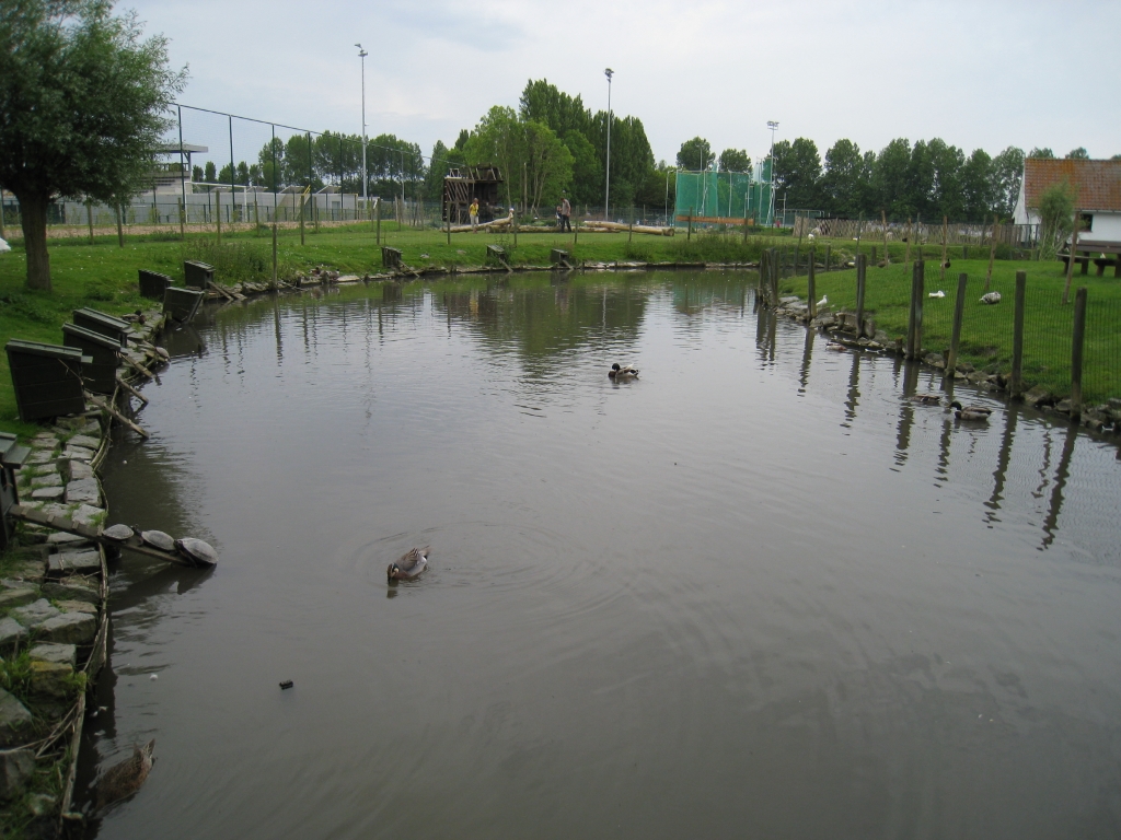 NP050934.JPG