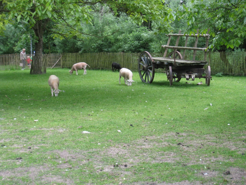NP050936.JPG