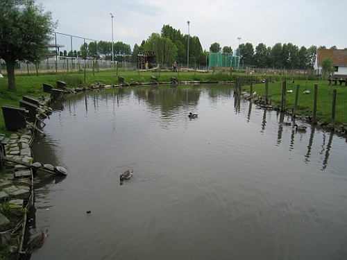 NP050934