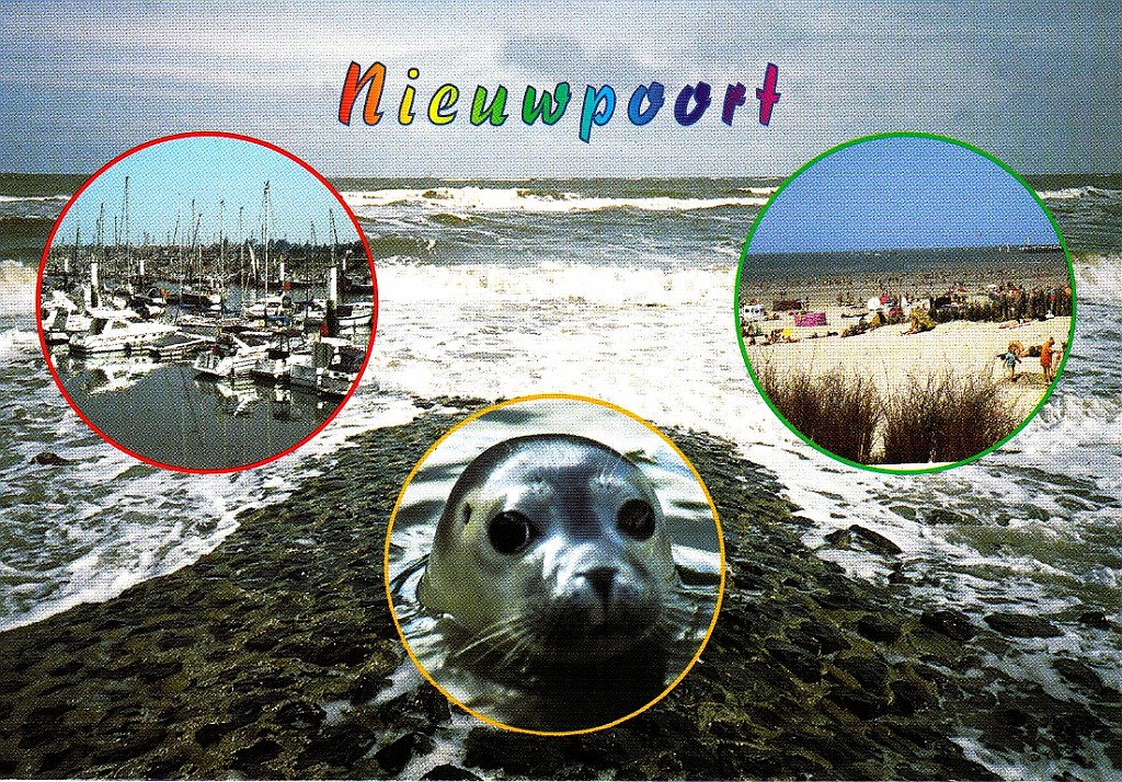 Nieuw01.jpg