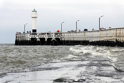 Nieuw33