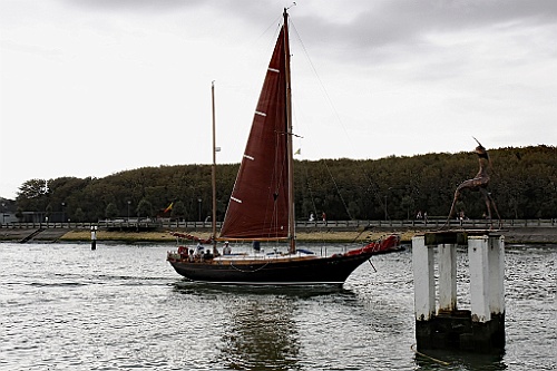 Nieuw42