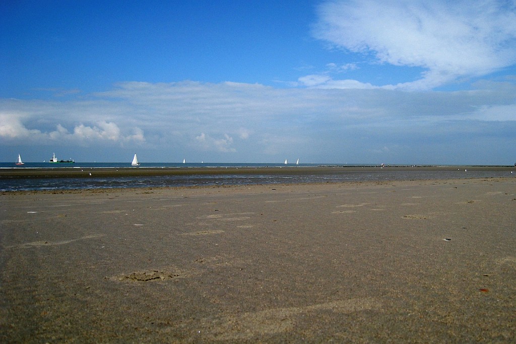 NP0909_010.JPG