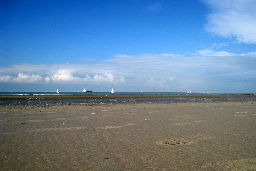 NP0909_011.JPG