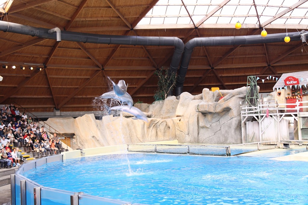 NP0909_038.jpg