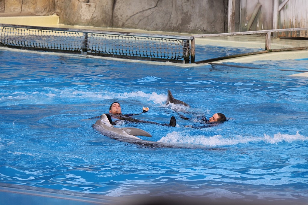 NP0909_052.jpg
