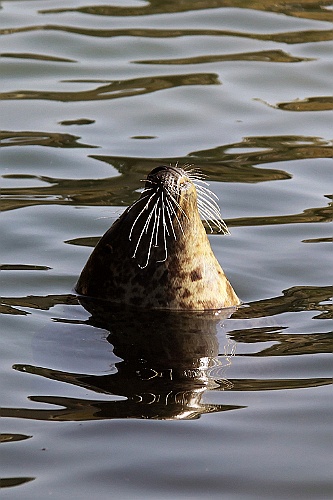 NP0909_098