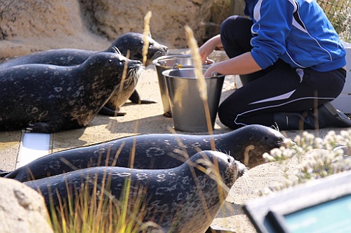NP0909_101