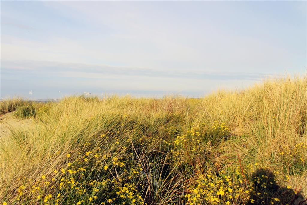 Nieuwpoort008.jpg