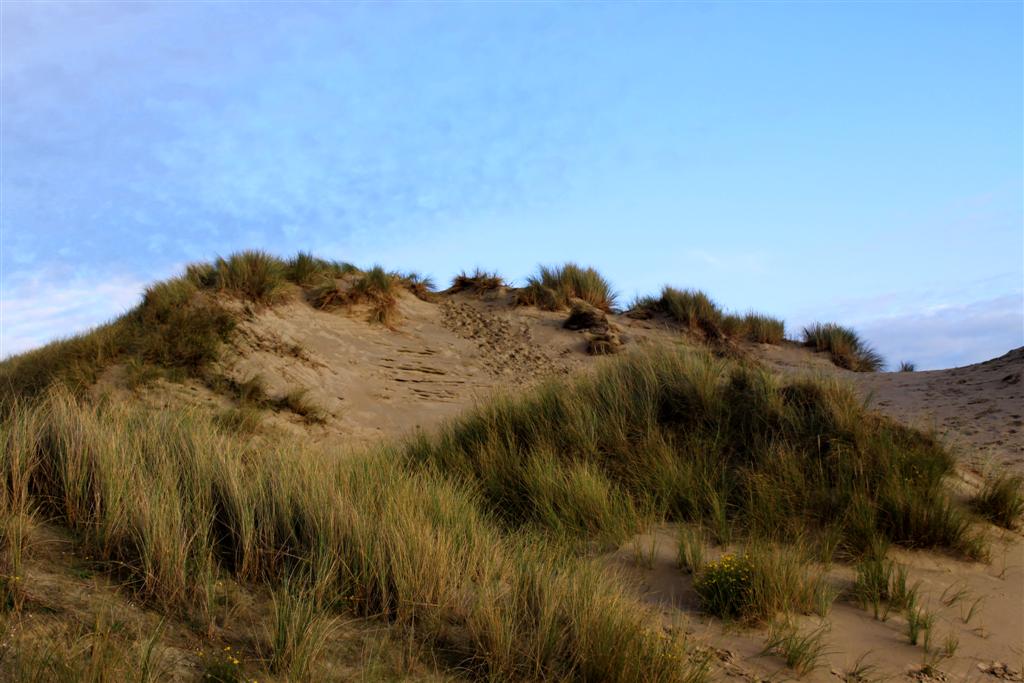 Nieuwpoort011.jpg