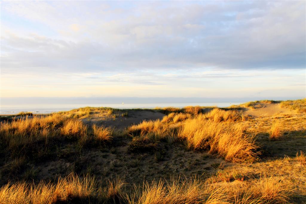 Nieuwpoort019.jpg