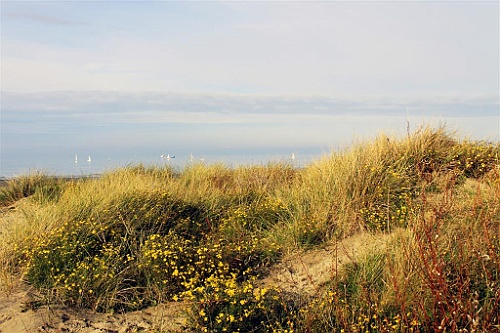 Nieuwpoort007
