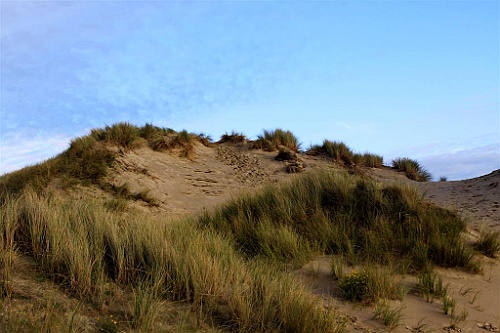 Nieuwpoort011